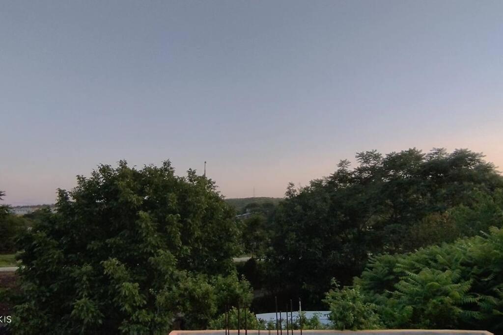 δ2 * Dhidhimotikhon